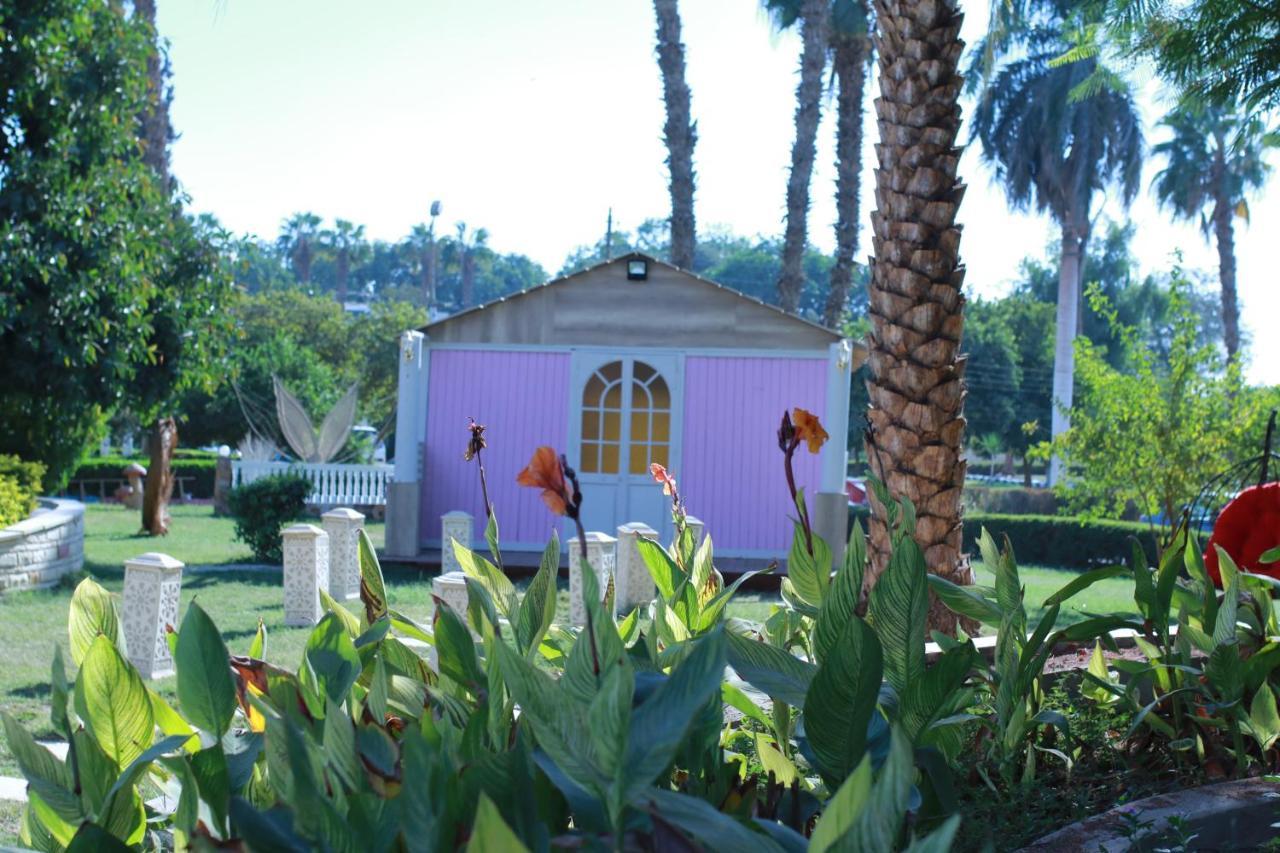 Jewel Assiut Hotel Kültér fotó